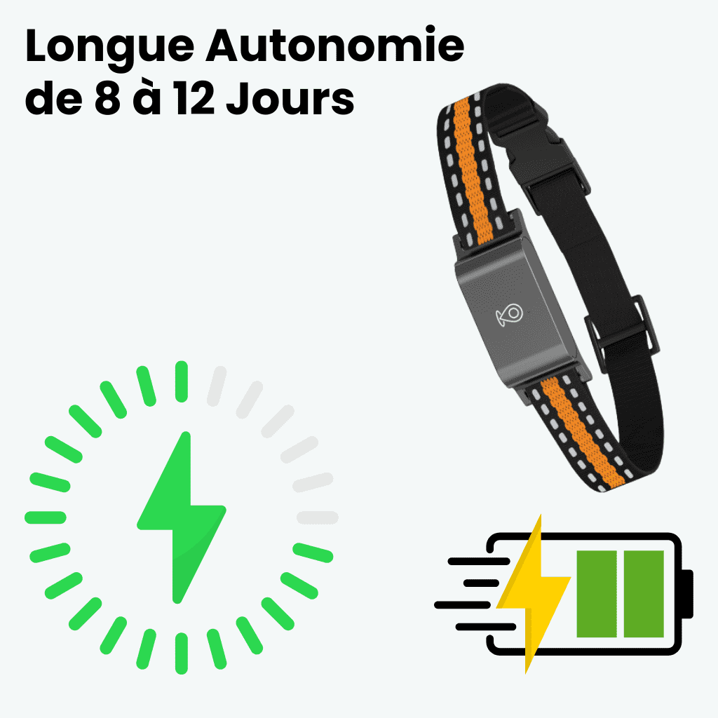 Marcherelle™ – Collier GPS Chat Sans Abonnement Suivi Précis & Illimité