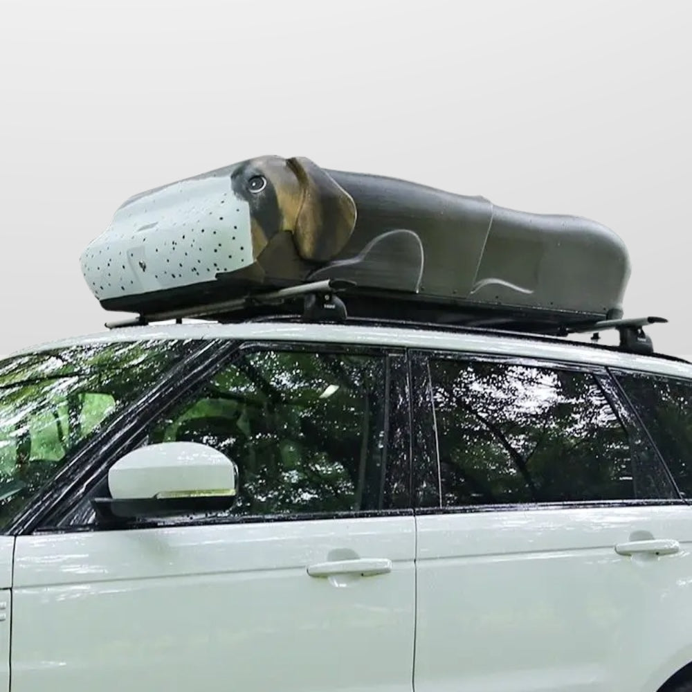 Self-Supporting Car Roof Tent