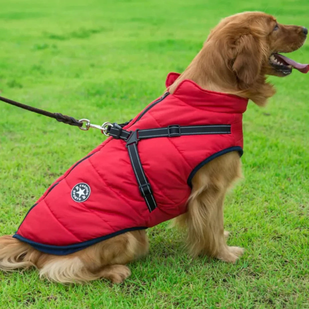 Gilet pour chien doux et imperméable - Marcherelle