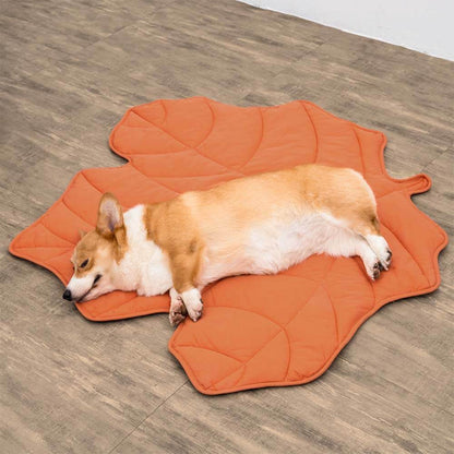 Cozy Blanket for Dog, Large Companion Throw