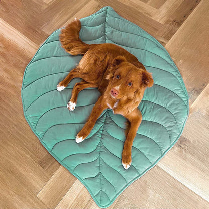 Cozy Blanket for Dog, Large Companion Throw
