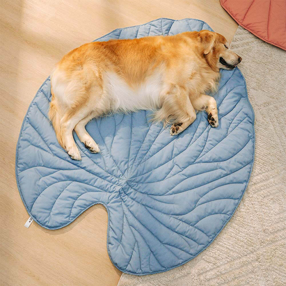 Cozy Blanket for Dog, Large Companion Throw