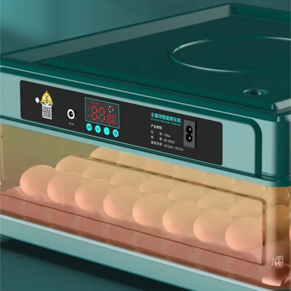 Automatic Egg Incubator with Turning and Temperature Control