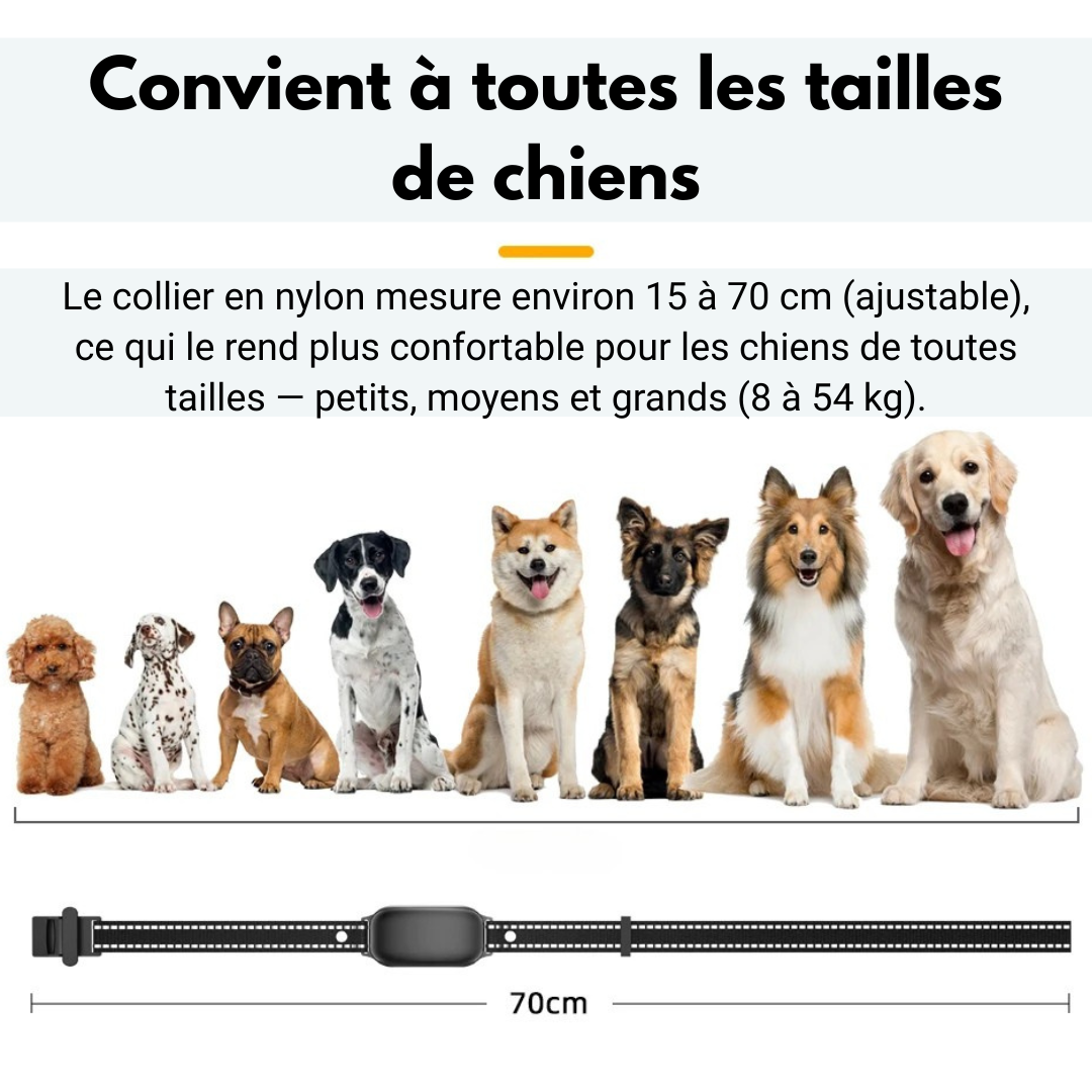 Marcherelle™ – Collier Electrique de Dressage Contrôle Précis Jusqu’à 1000 m