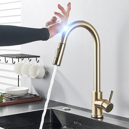 Electronic Kitchen Faucet with Automatic Sensor